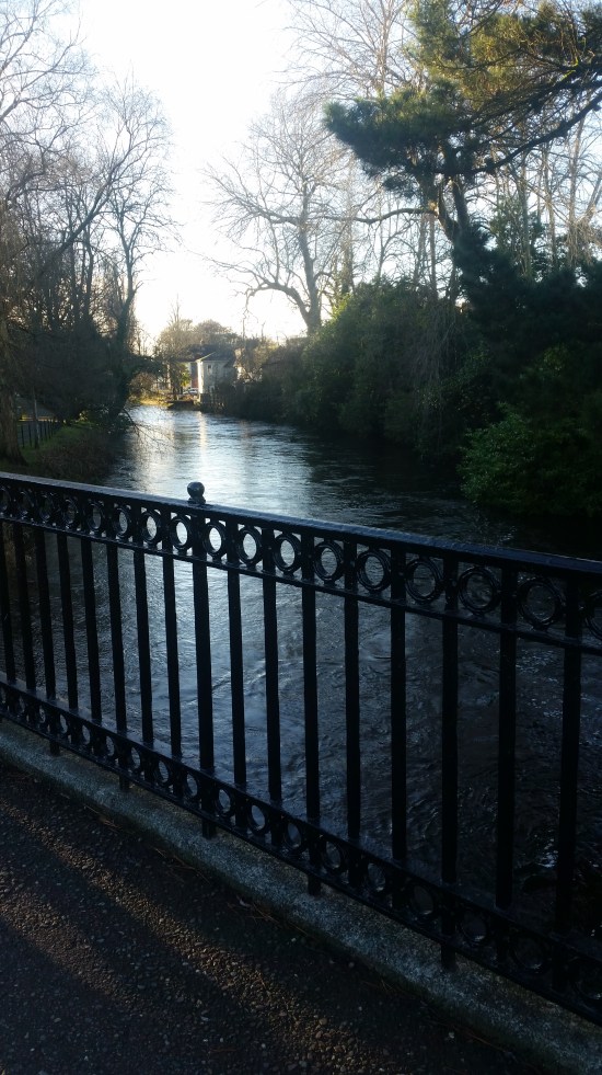 Bridge at Cork University