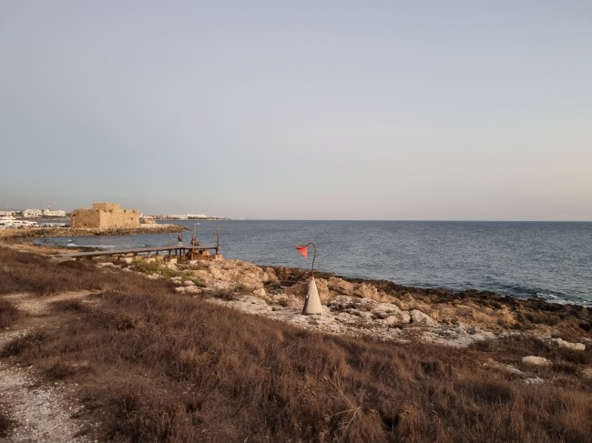 Art installation - poppy